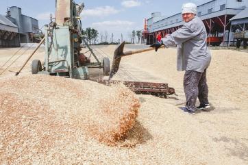 Мишустин утвердил план развития зернового комплекса